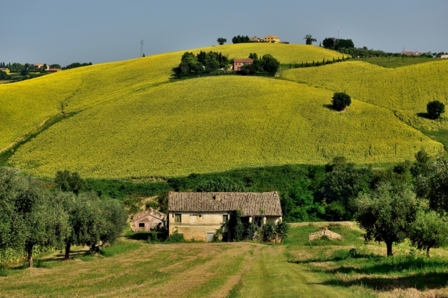 colline