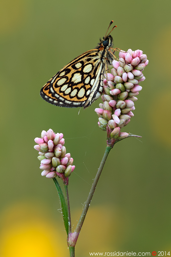 Ho scelto il punto pi� alto...