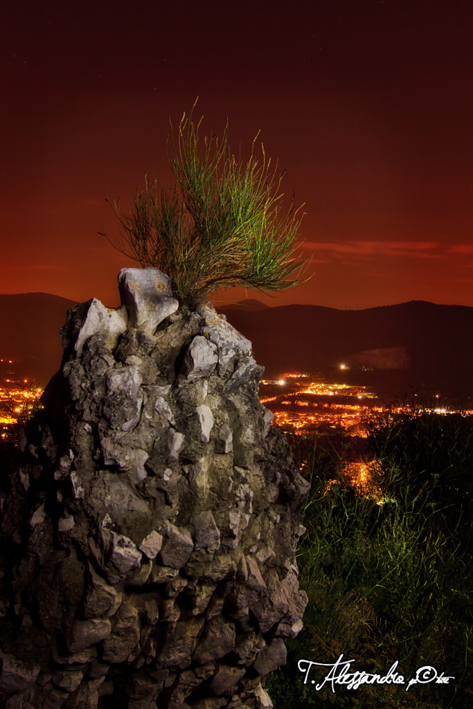 se bruciasse la citta