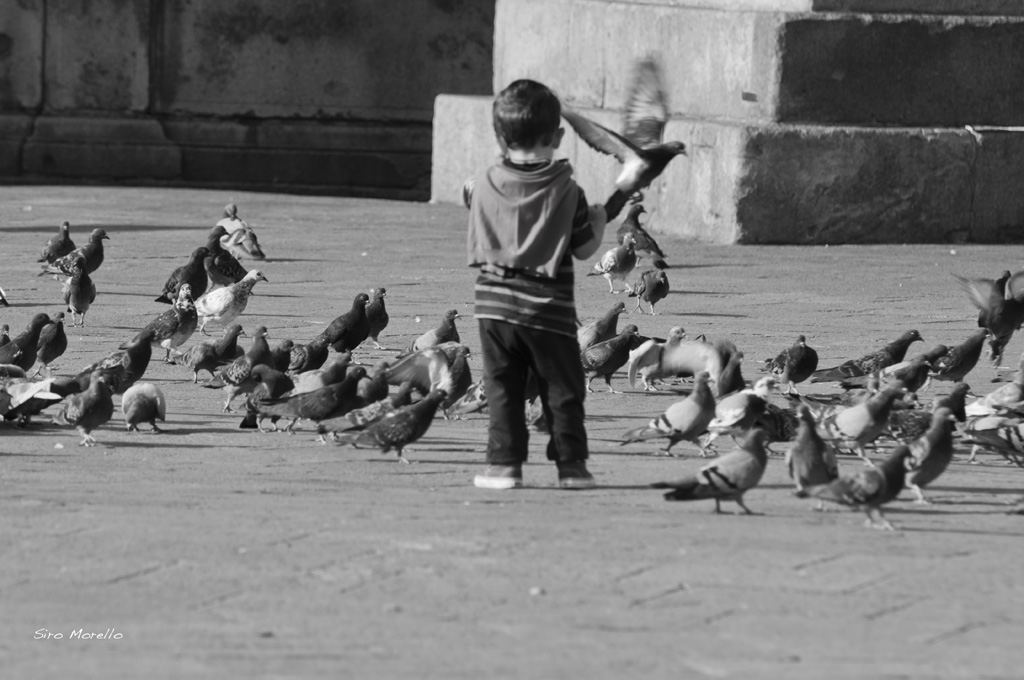 In centro citt�...