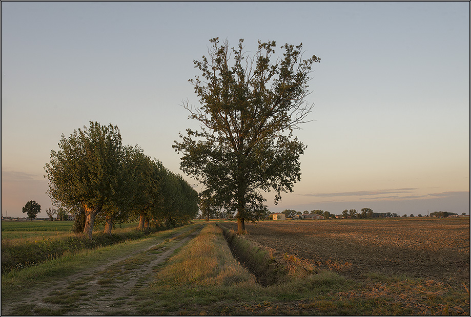 NEF 2872 (Sul far della sera)