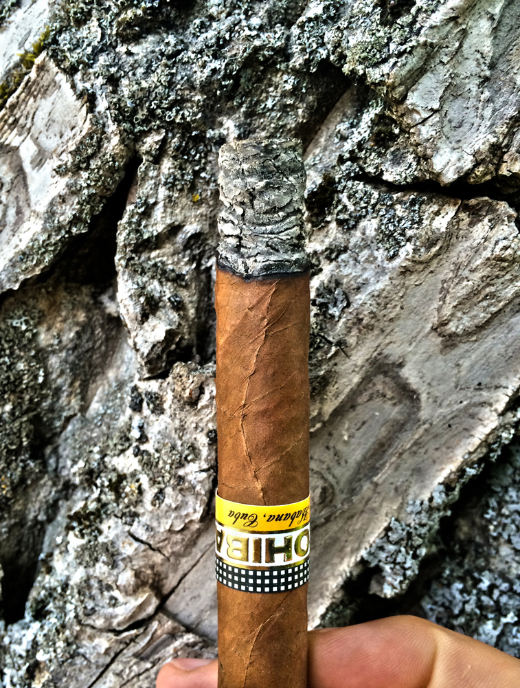 Cohiba - Legno come tabacco e cenere come corteccia
