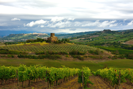 Orvieto - Paesaggio Umbro