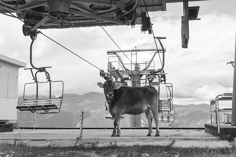 Aspettando il proprio turno