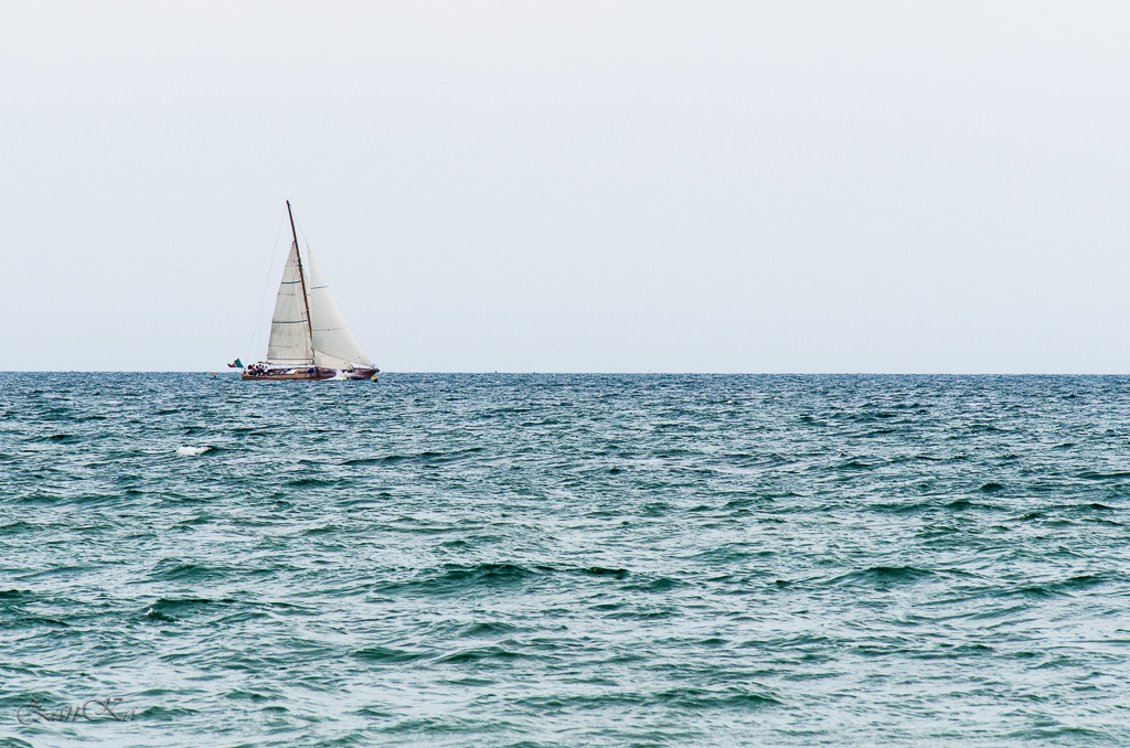 Finche la barca va ...