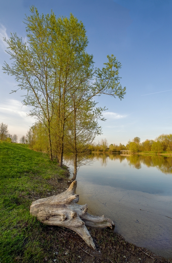 Parco Settimo Torino