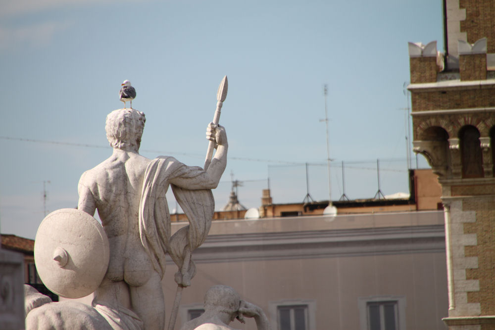Roma, i monumenti e... gli uccelli!