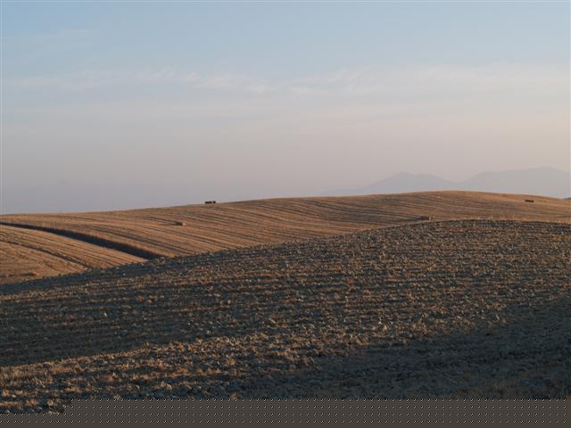 Paesaggio toscano