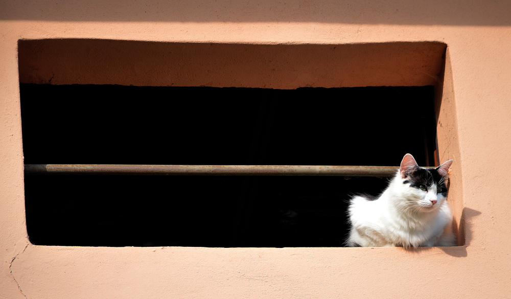 ...e io controllo...