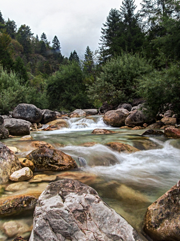 Contest 402 - free4u - 15�