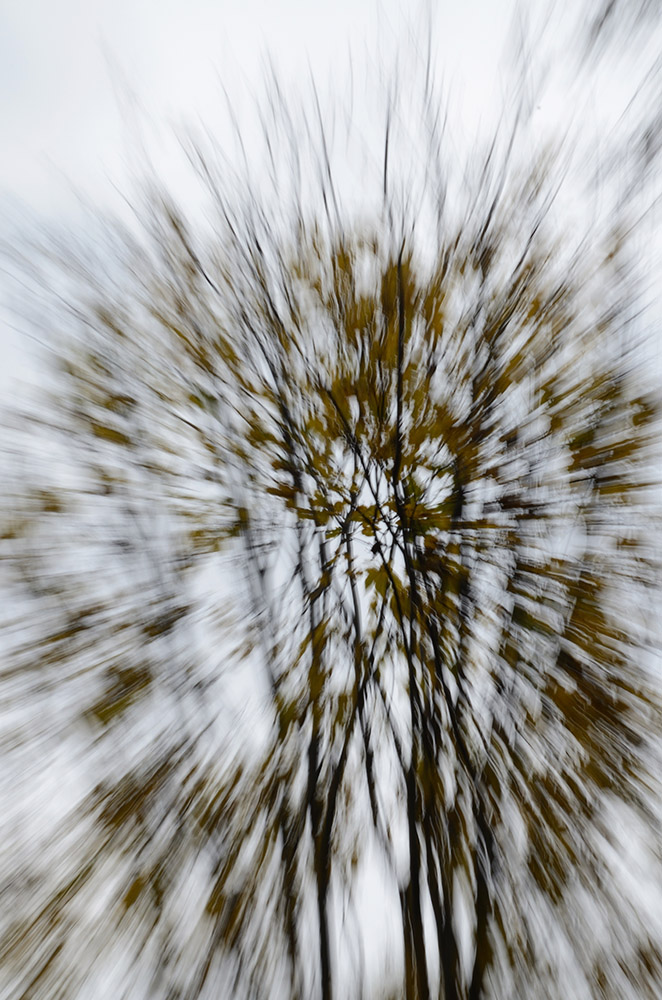 ESPLOSIONE AUTUNNALE