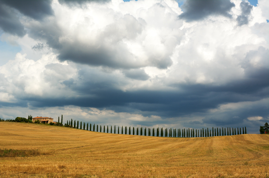 Contrasti di fine estate