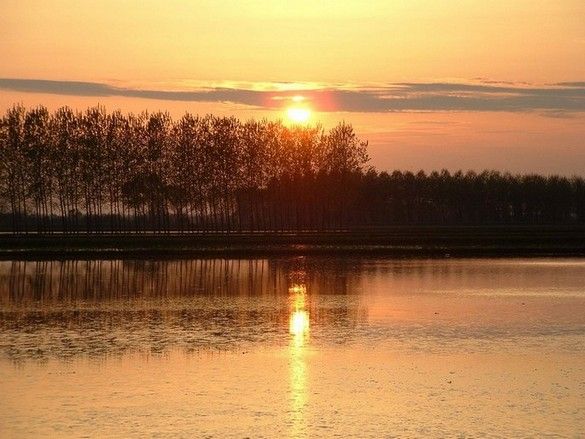 parco del ticino besate risaia