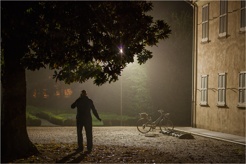 Tre le foglie...una magia...