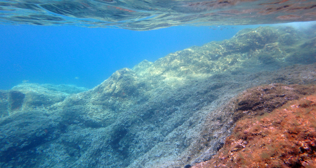 Il cielo sopra il fondale