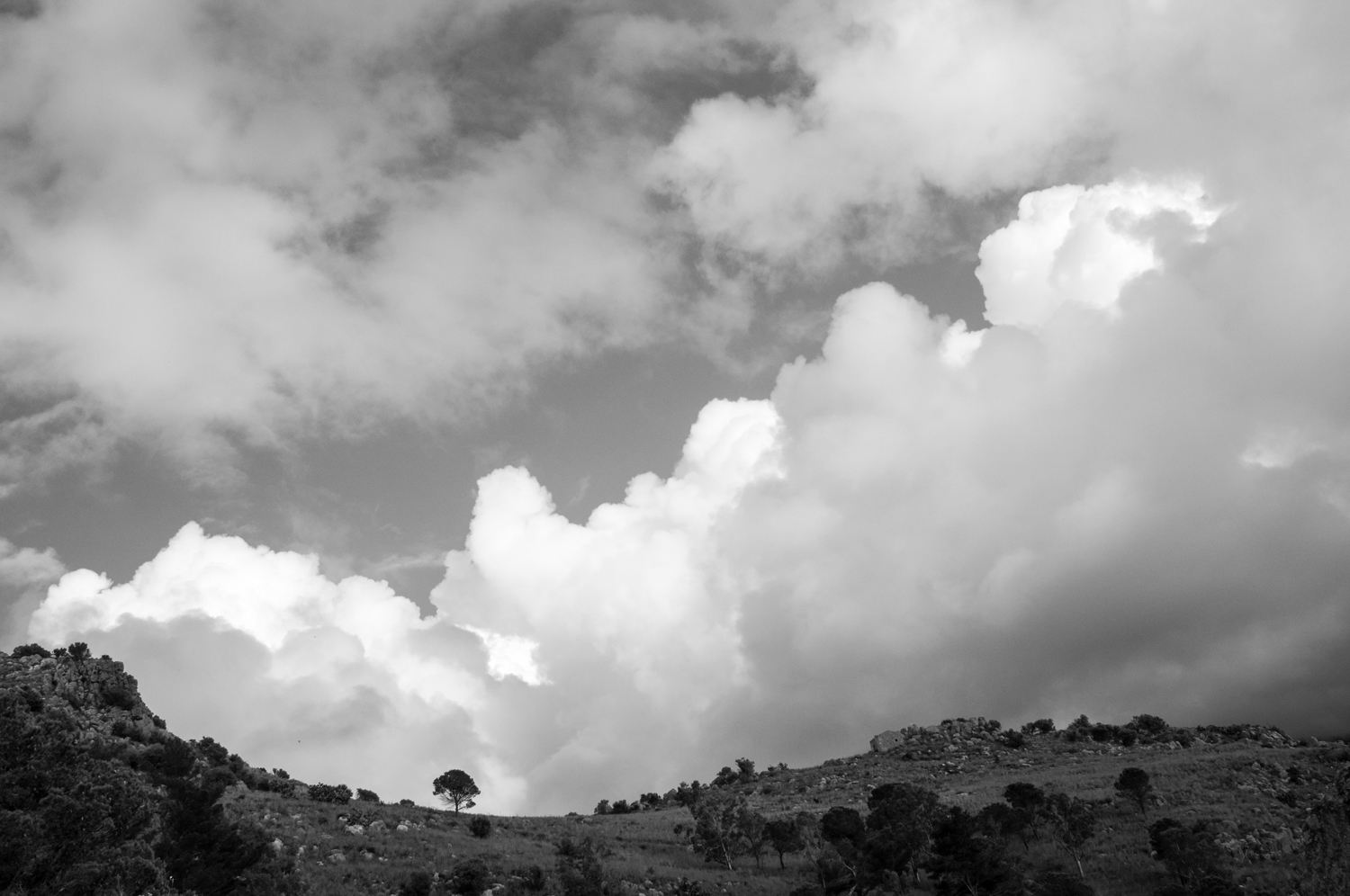 Rocca di Cefal� [corretta]