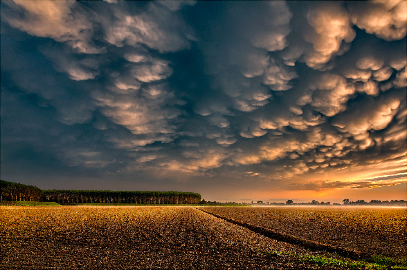 Mammatus clouds