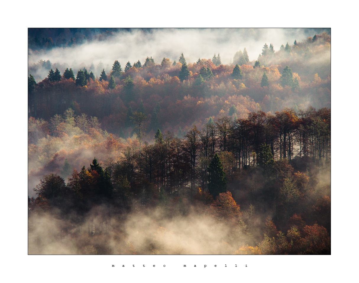 Magico Cansiglio - 2