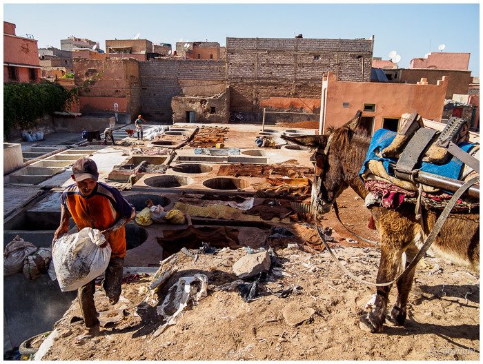 Pillole da Marrakech