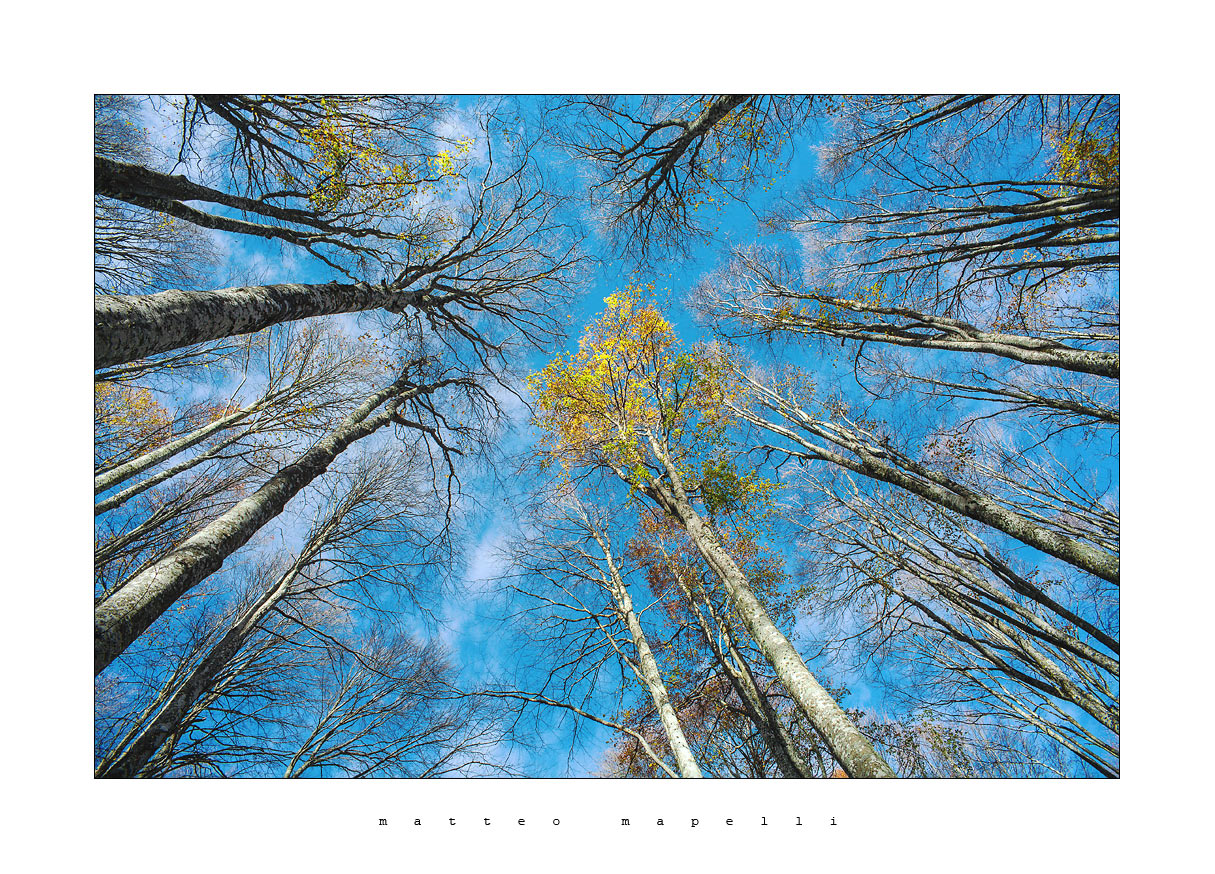 Con lo sguardo verso il cielo