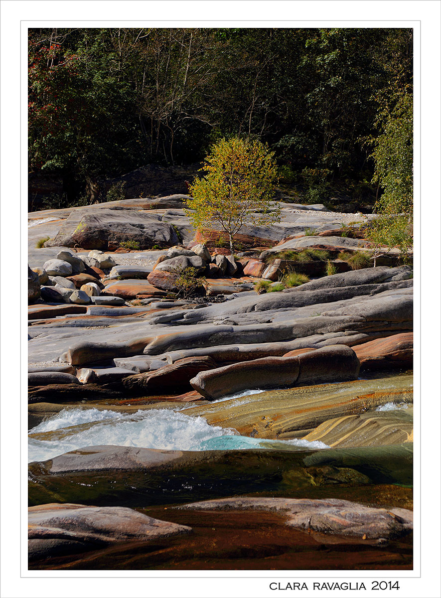 Solitario... in Val Verzasca.