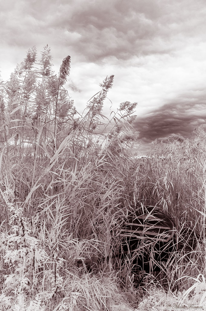 Lago di Montepulciano #2