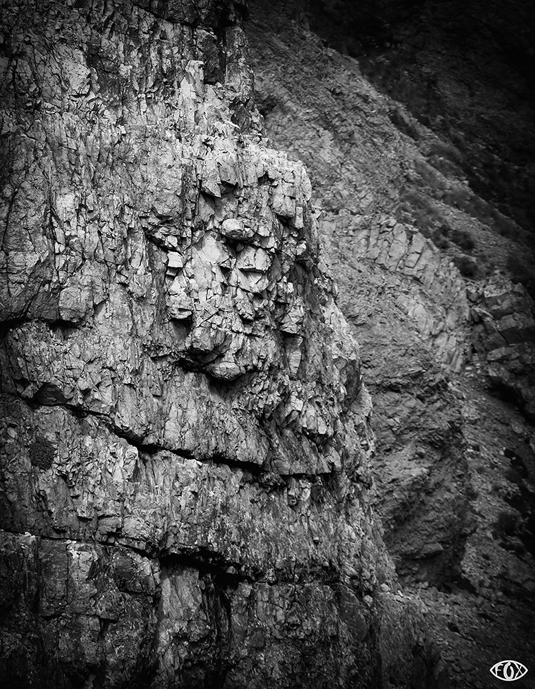 la natura ci osserva