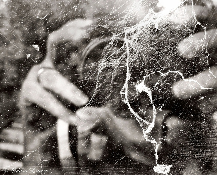 absurd thoughts confusion