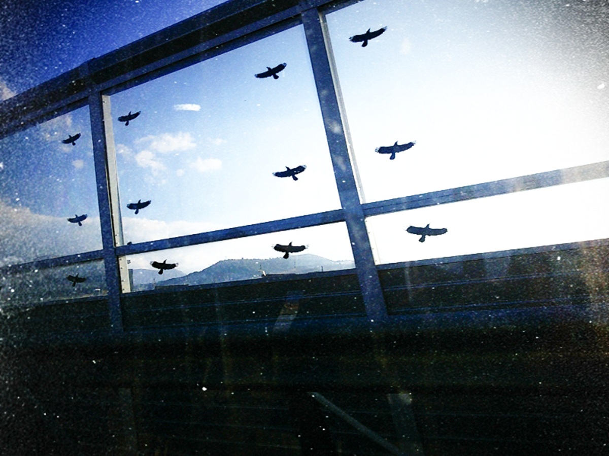 Cos� sono le illusioni