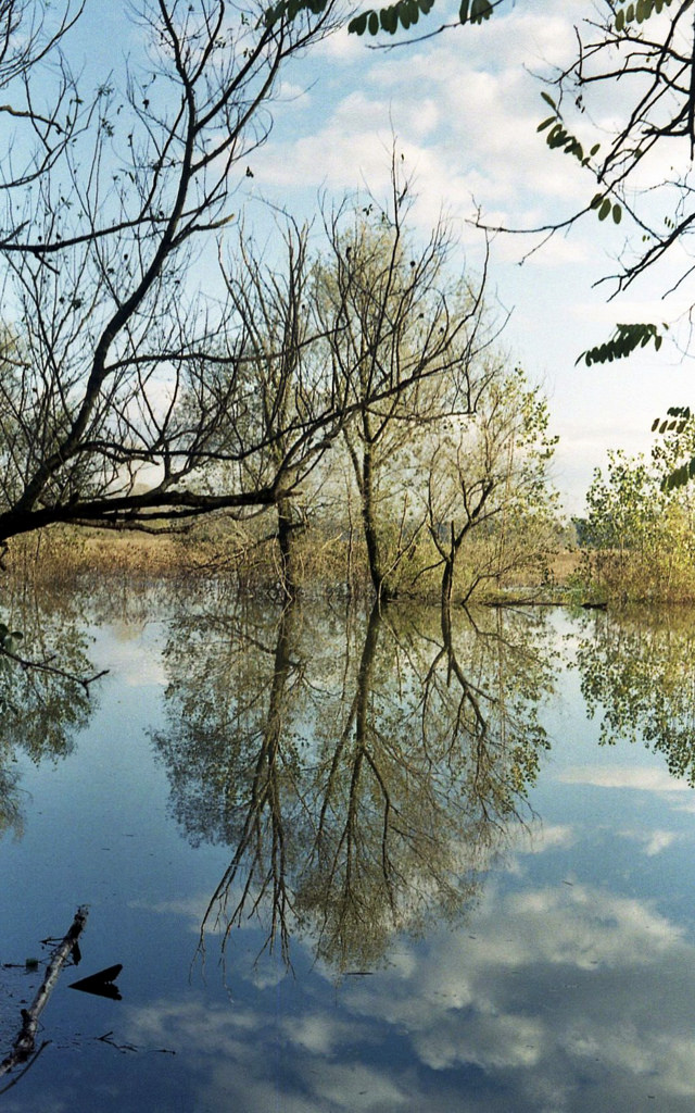 riflesso, riflusso ;/) lente