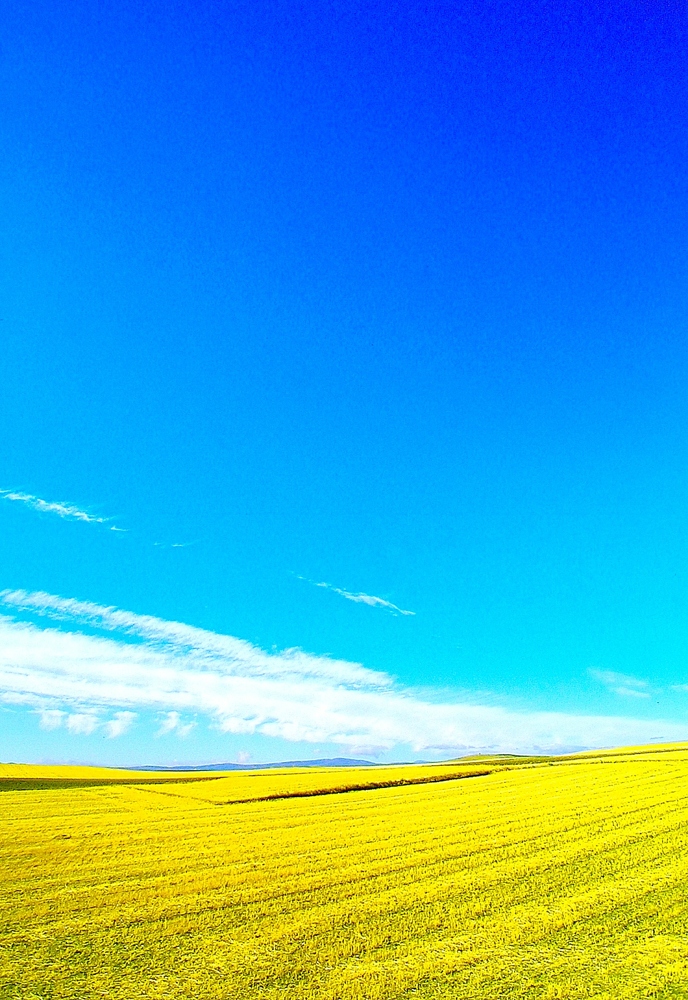 Ricordando.... nella campagna della Bretagna
