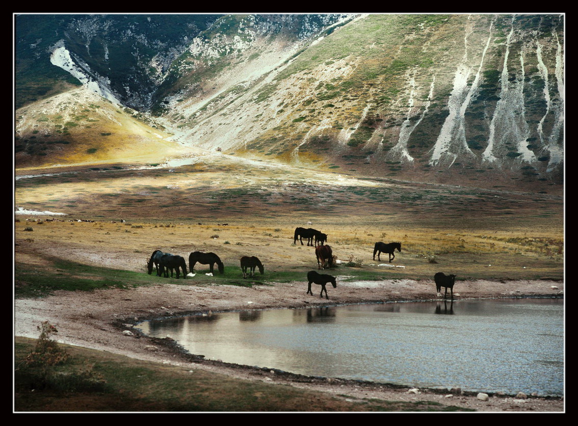 Cavalli, Campo Imperatore, vers. 2
