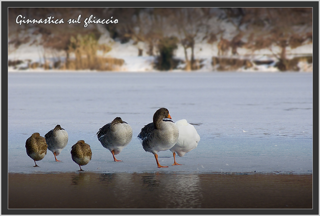 Ginnastica sul ghiaccio.