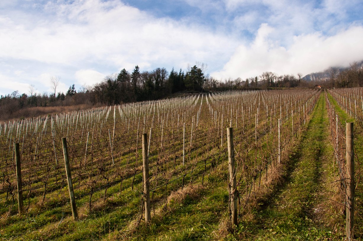 Geometrie di fine autunno