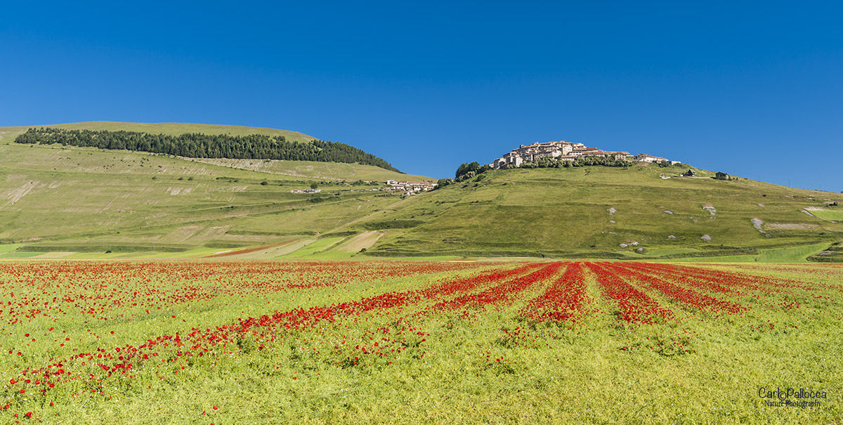 Castelluccio di Norcia