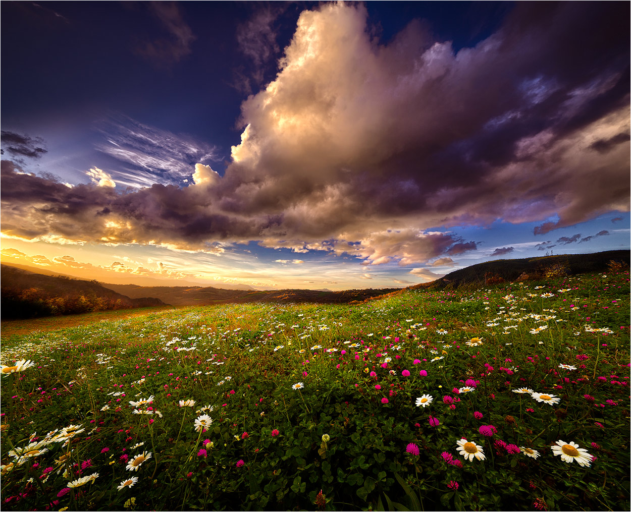 Gli ultimi colori di questo caldo autunno