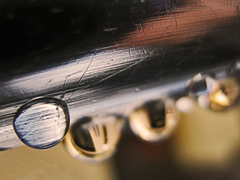 contest macro senza insetti