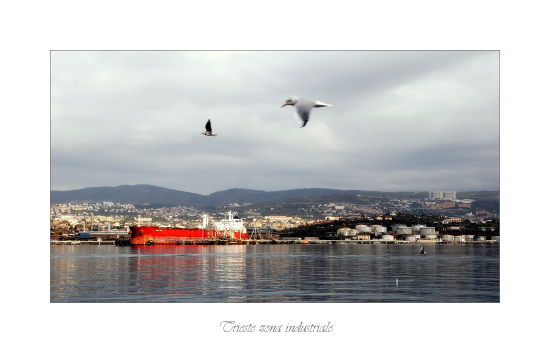 Trieste zona industriale