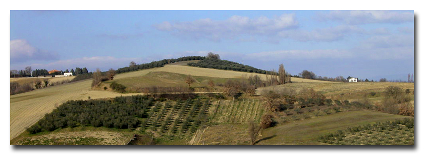 Paesaggio collinare!!!