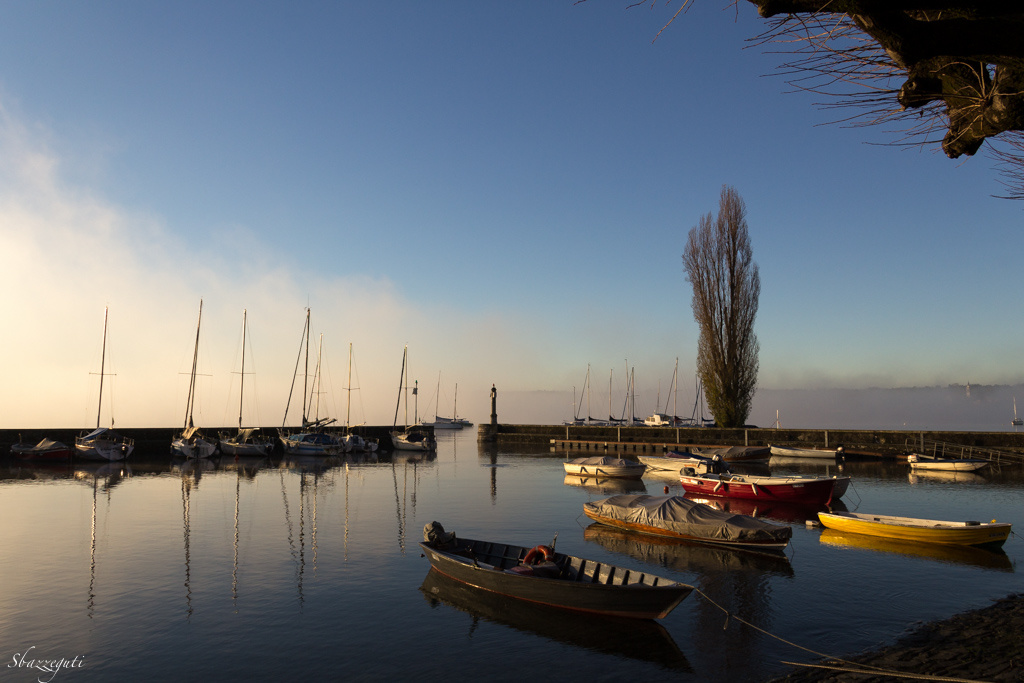 Alba Nebbia al Porto