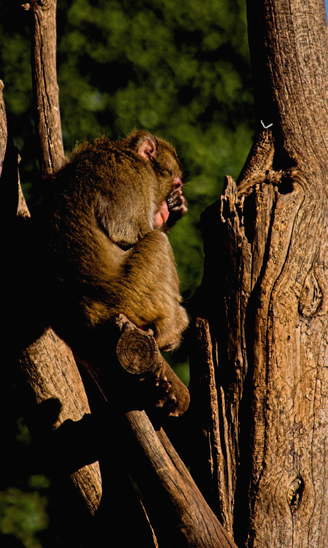 che palle sto posto! bio park roma!