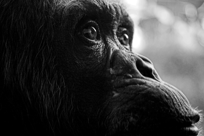 read saddness in my eyes