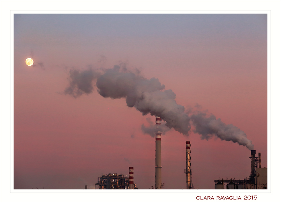 La Luna e i fal�...