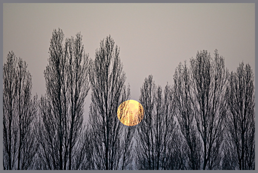 Pale Moon Fading
