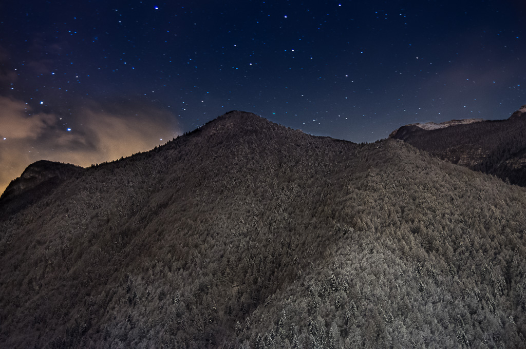 Boschi,Neve e Stelle