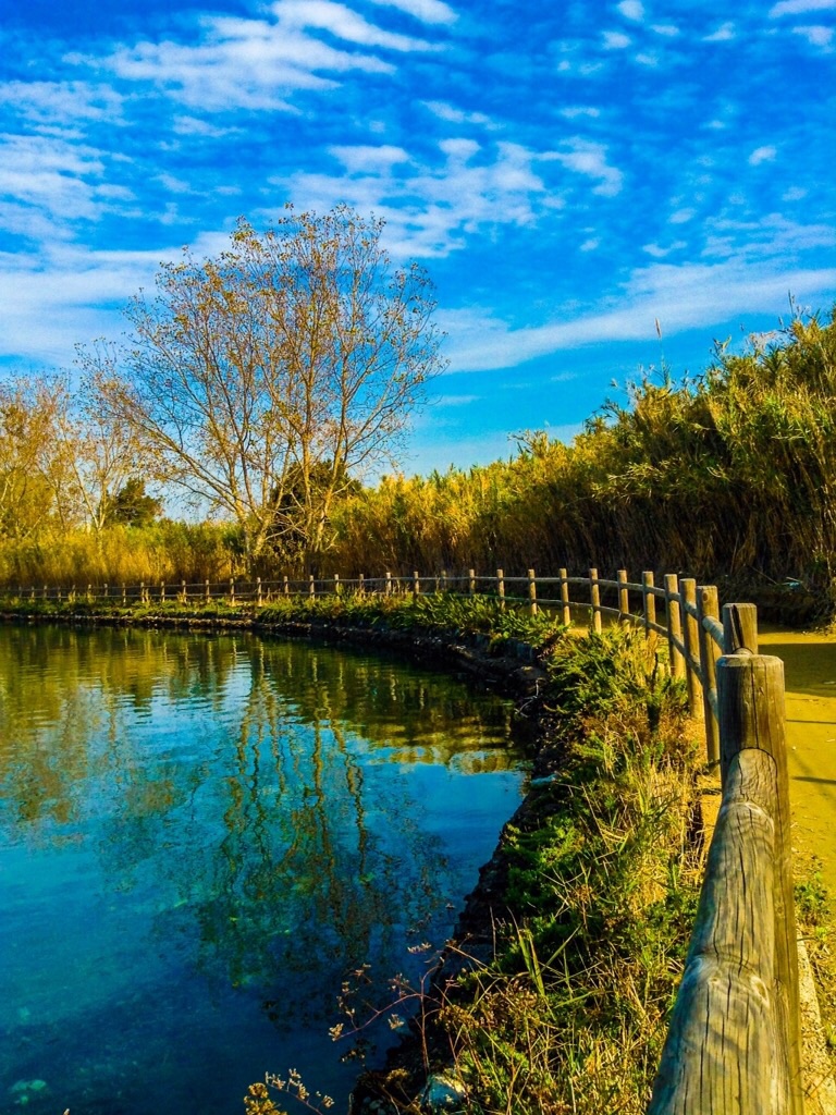 Lago Miseno ( Napoli )