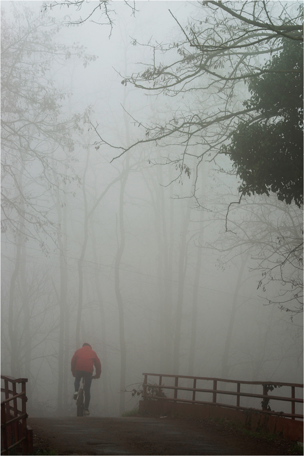 Percorsi di nebbia...