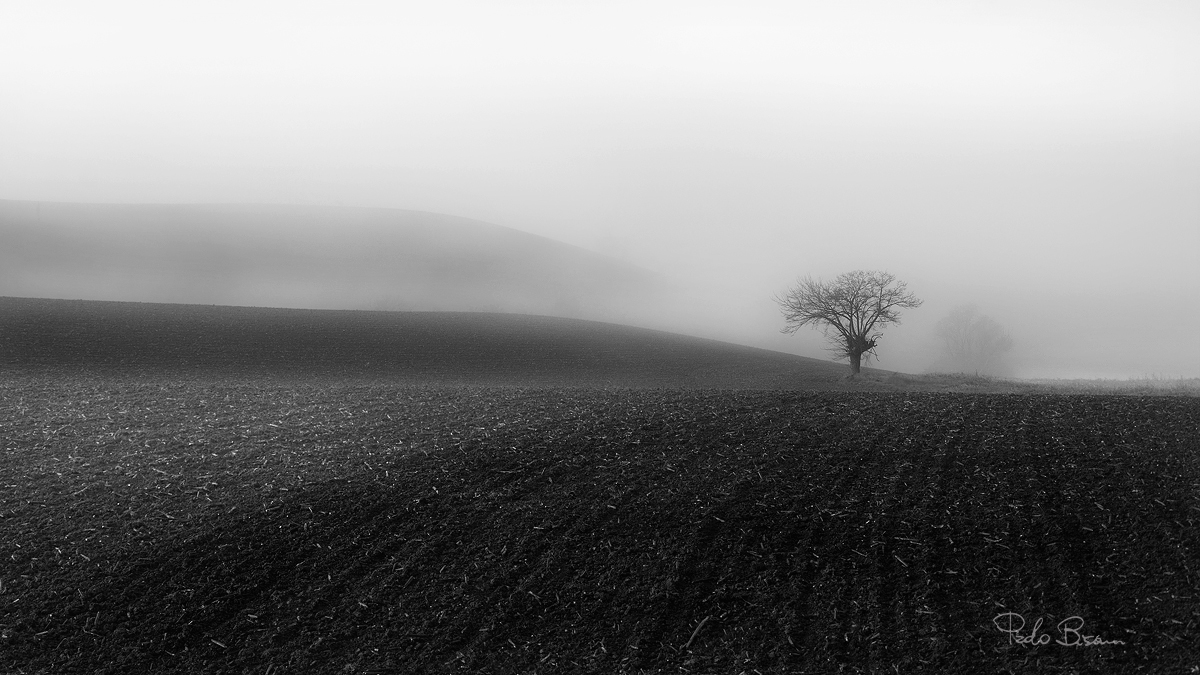 Autumn (the w/b side of the...)