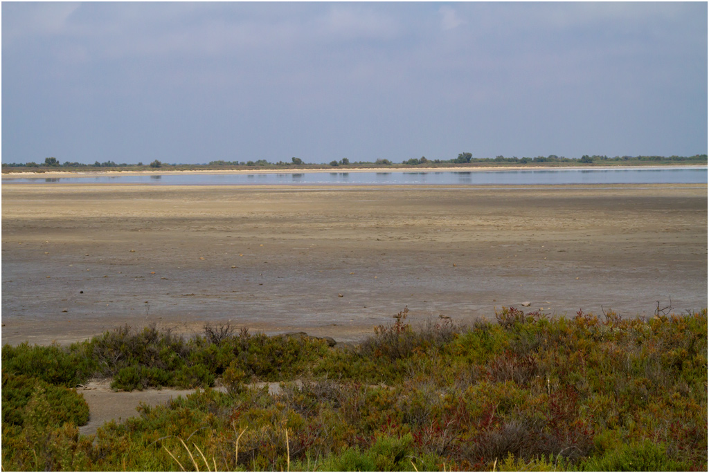 Settembre in Camargue