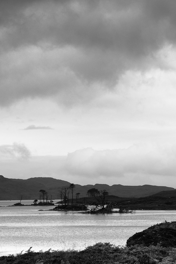 l'isola che non c'�